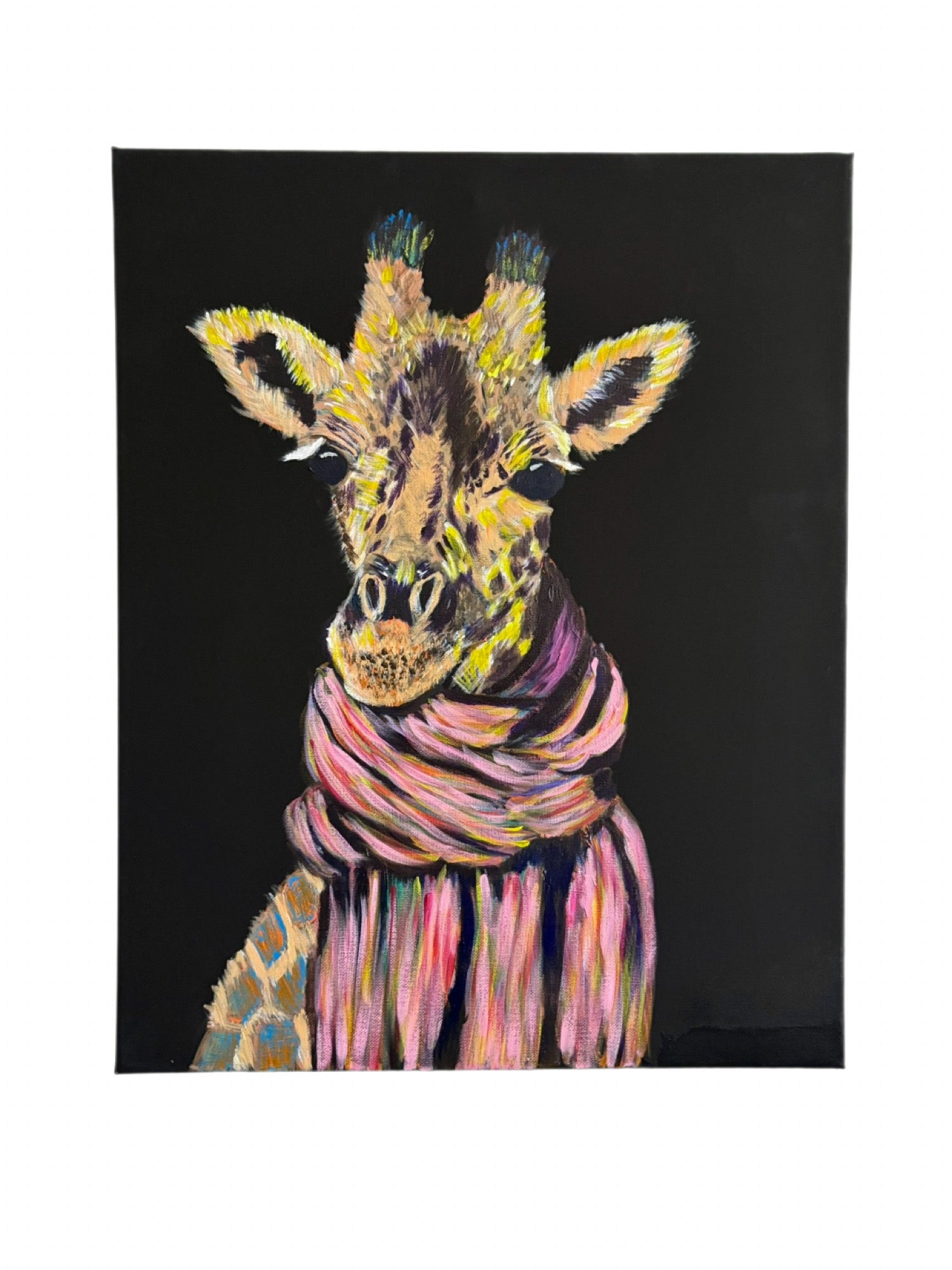A 20 by 16 canvas art print featuring a stylized, colorful painting of a giraffe wearing a pink and purple striped scarf, set against a solid black background.